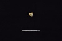 燧石藏品圖，第1張